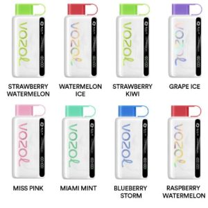Vozol Star 12000 Puffs Disposable Vape
